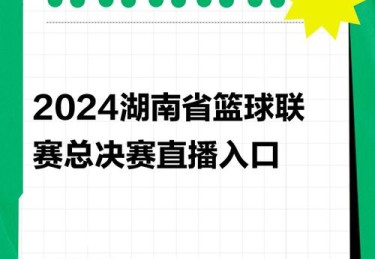 华体会体育全景呈现：解析篮球赛事直播技术革新与球迷互动体验的新趋势