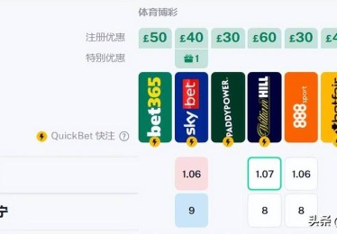 华体会体育app全程追踪：聚焦欧洲顶级联赛博彩市场，揭示赔率调整与投注热度的内在联系