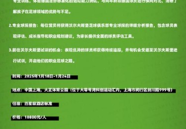 从草根到巅峰：华体会体育官网记录中小俱乐部如何通过青训体系实现逆袭崛起的传奇故事