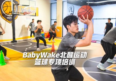 华体会体育app专题：深度剖析篮球联赛中明星球员如何通过科学训练、心理调适及团队支持实现突破