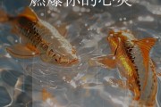 华体会体育官网专栏：探讨足球运动中的体能极限、心理博弈与团队精神的重要性