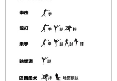 华体会体育官网专题解读：解析综合格斗比赛中的战术布局、力量对抗与选手心理战的多维视角