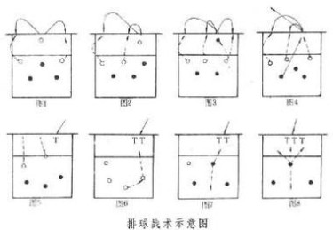 华体会体育官网独家视角：全面解读国际排球锦标赛中球队战术、选手状态及场馆技术设施的升级应用