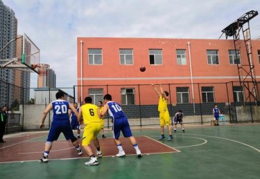 华体会体育官网深度解读：解析篮球联赛中球队内部管理、薪资结构及转会策略对竞技水平的影响