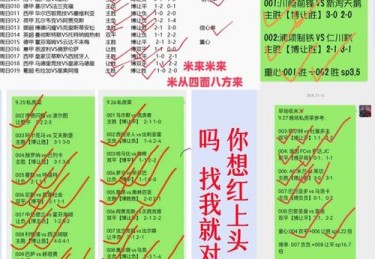 华体会体育官网专题：从裁判判罚到VAR技术，多维视角解析足球比赛中的公正性与争议焦点