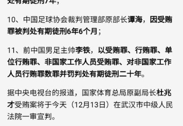 华体会体育官网重磅推出：解析国际足坛裁判判罚标准背后的公平性与技术辅助运用