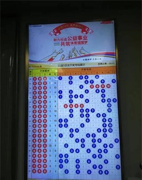 华体会体育app:百家乐中奖玩家故事,分享成功经验与心得
