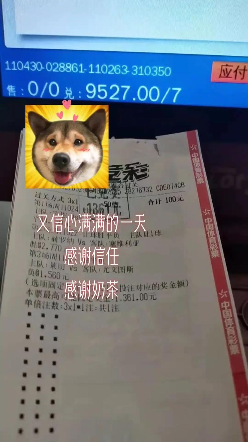 华体会体育官网揭秘:竞彩和单场投注的区别