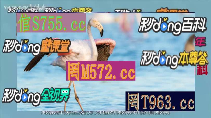 华体会体育官网:华体会彩票玩家中得头奖,奖金数额令人惊叹