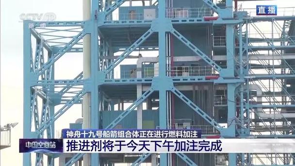 华体会体育app解析:骰子赌中的单注与组合注如何选择?
