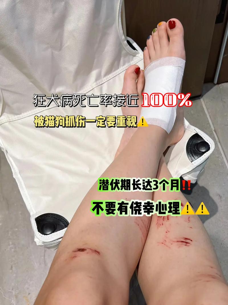 华体会体育新闻:职业骰子赌玩家的资金管理技巧,骰子游戏赌注