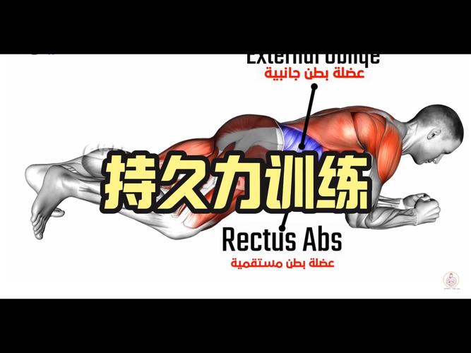 华体会体育全景呈现:解析体育竞技中力量、速度、耐力与技巧如何在现代训练中实现最佳融合
